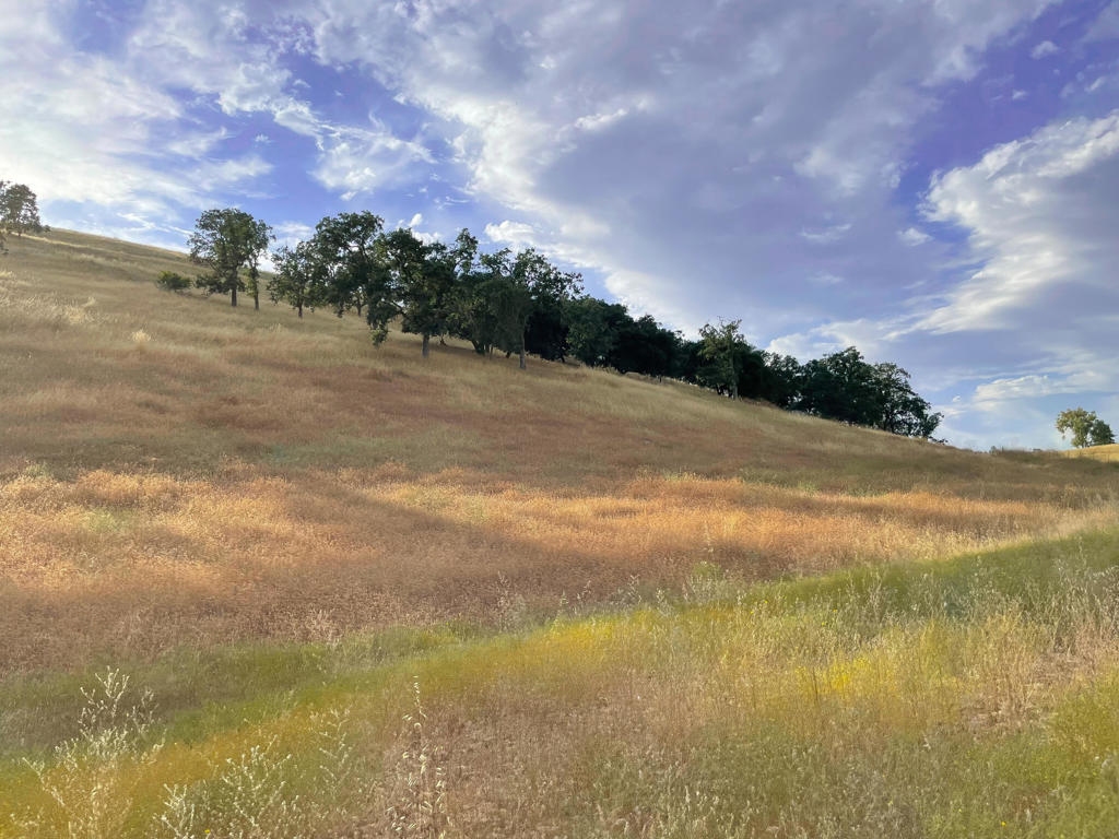 0 Hwy 41 Property Photo 30