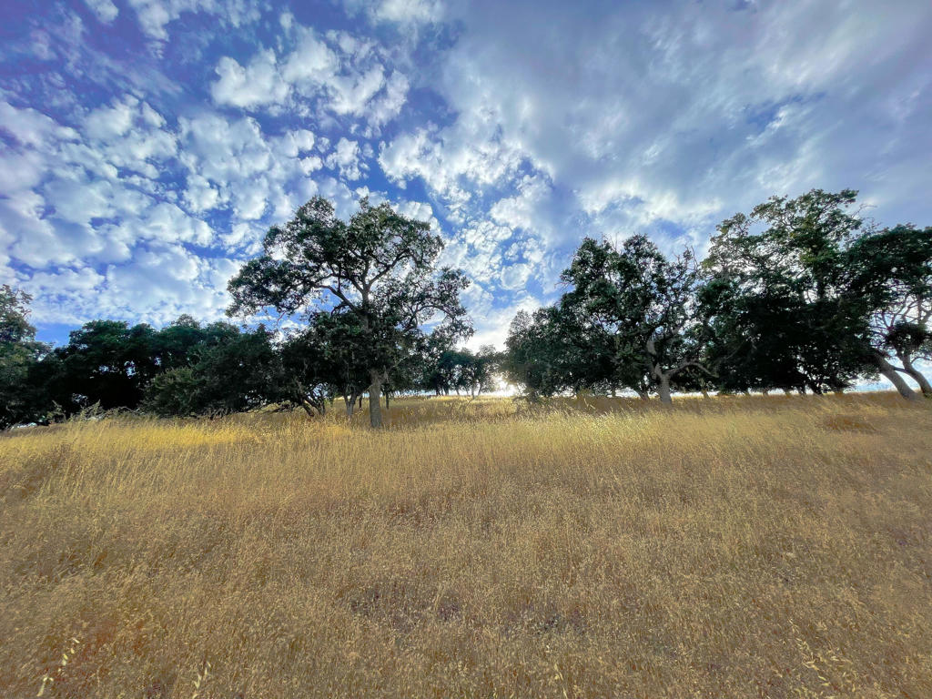 0 Hwy 41 Property Photo 63