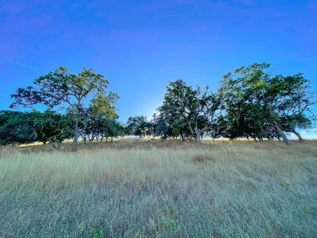 0 Hwy 41 Property Photo 82