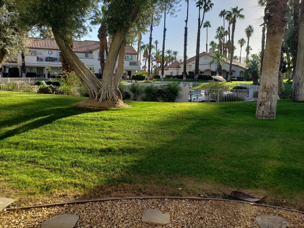 131 Desert Falls Circle Property Photo 9
