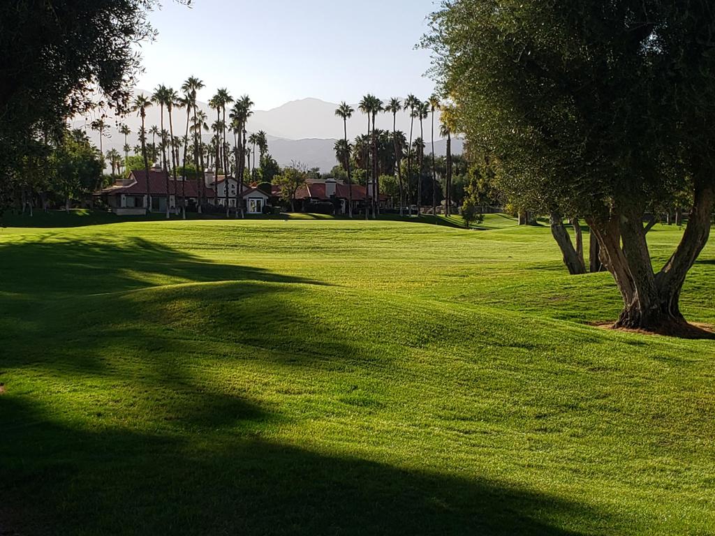 131 Desert Falls Circle Property Photo 20
