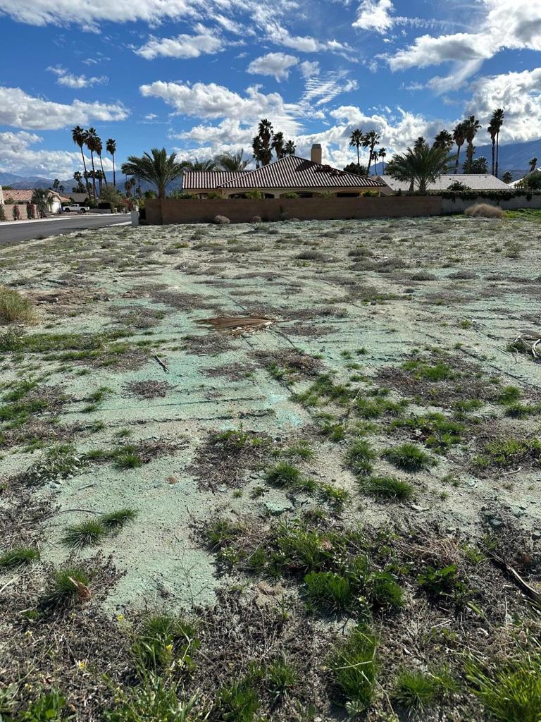 Lot 391 Verano Road Property Photo 3