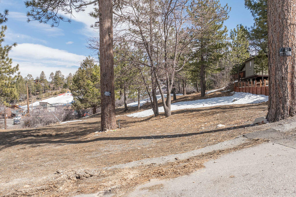791 Talmadge Road Property Photo 16