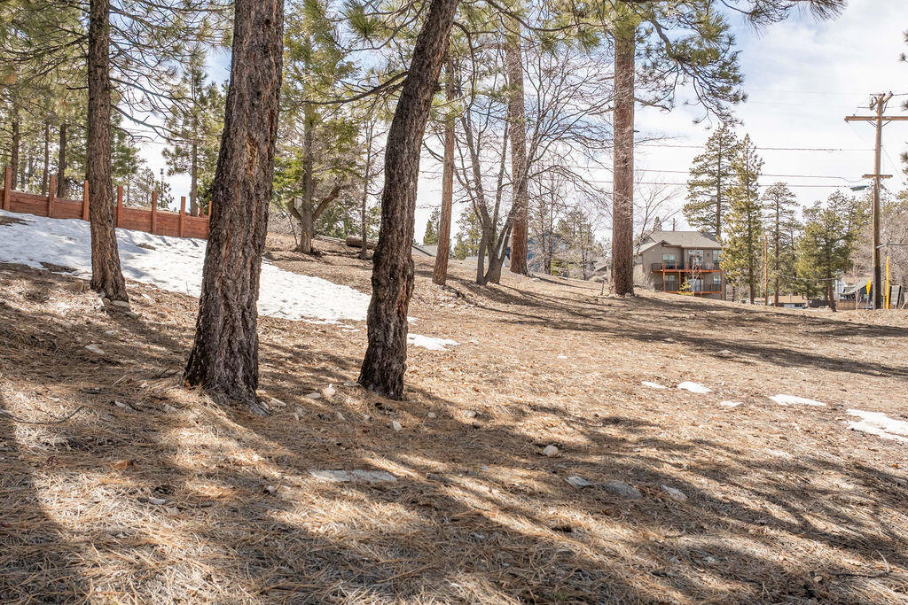 791 Talmadge Road Property Photo 17