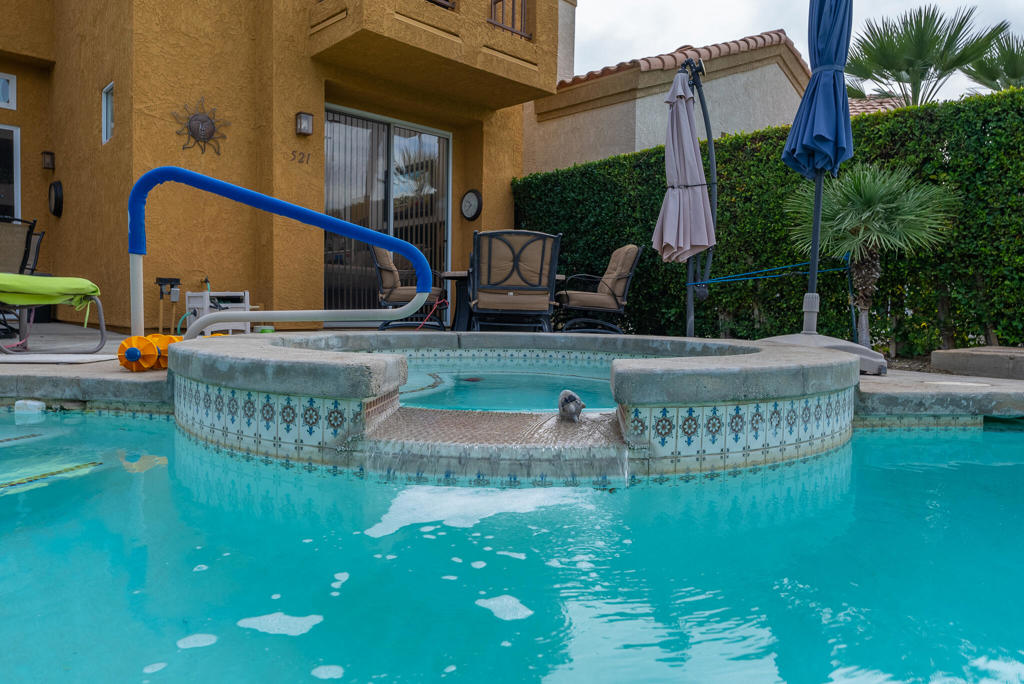 29521 E Trancas Drive Property Photo 24