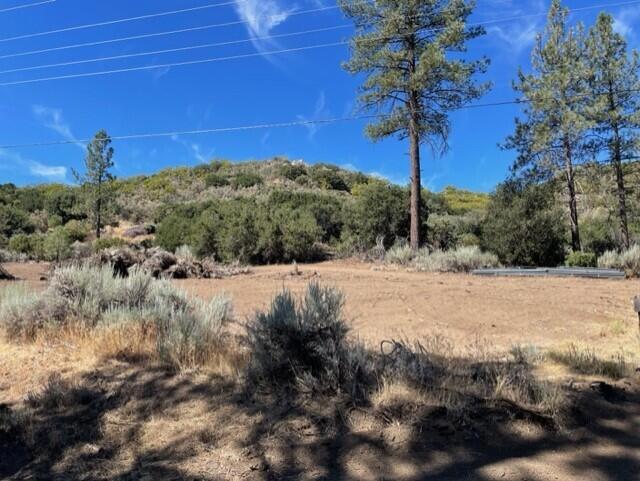 Lot 27 Pipe Creek Road Property Photo 3