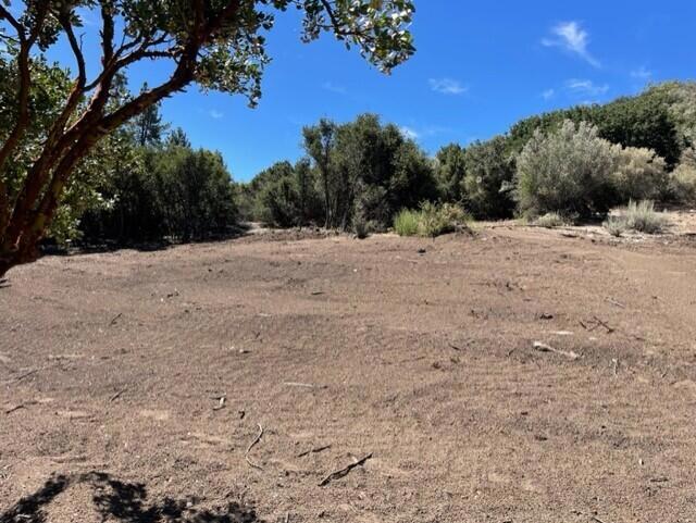 Lot 27 Pipe Creek Road Property Photo 5