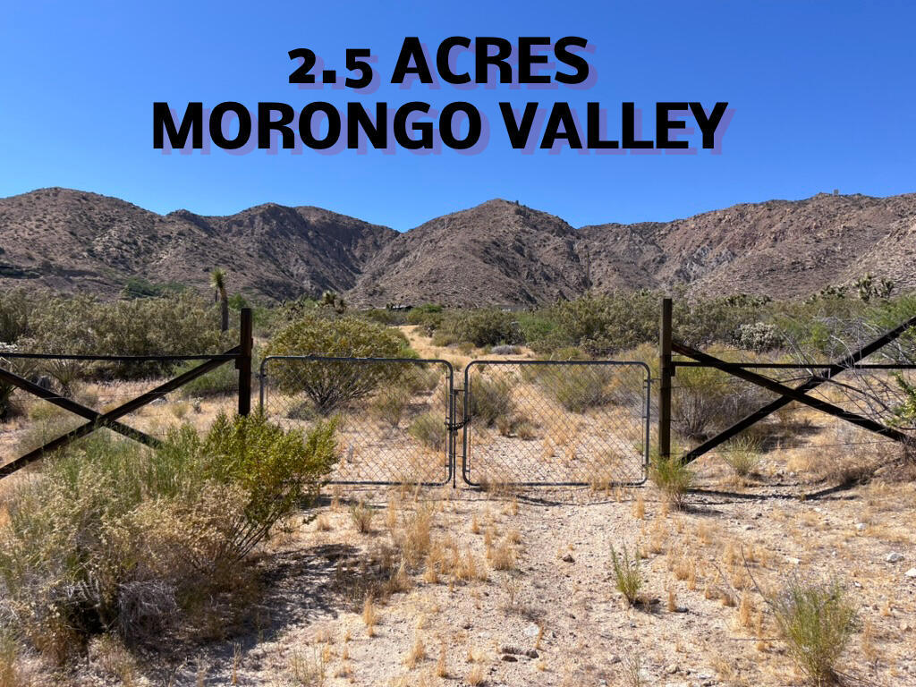 0 29 Palms Highway Property Photo 1