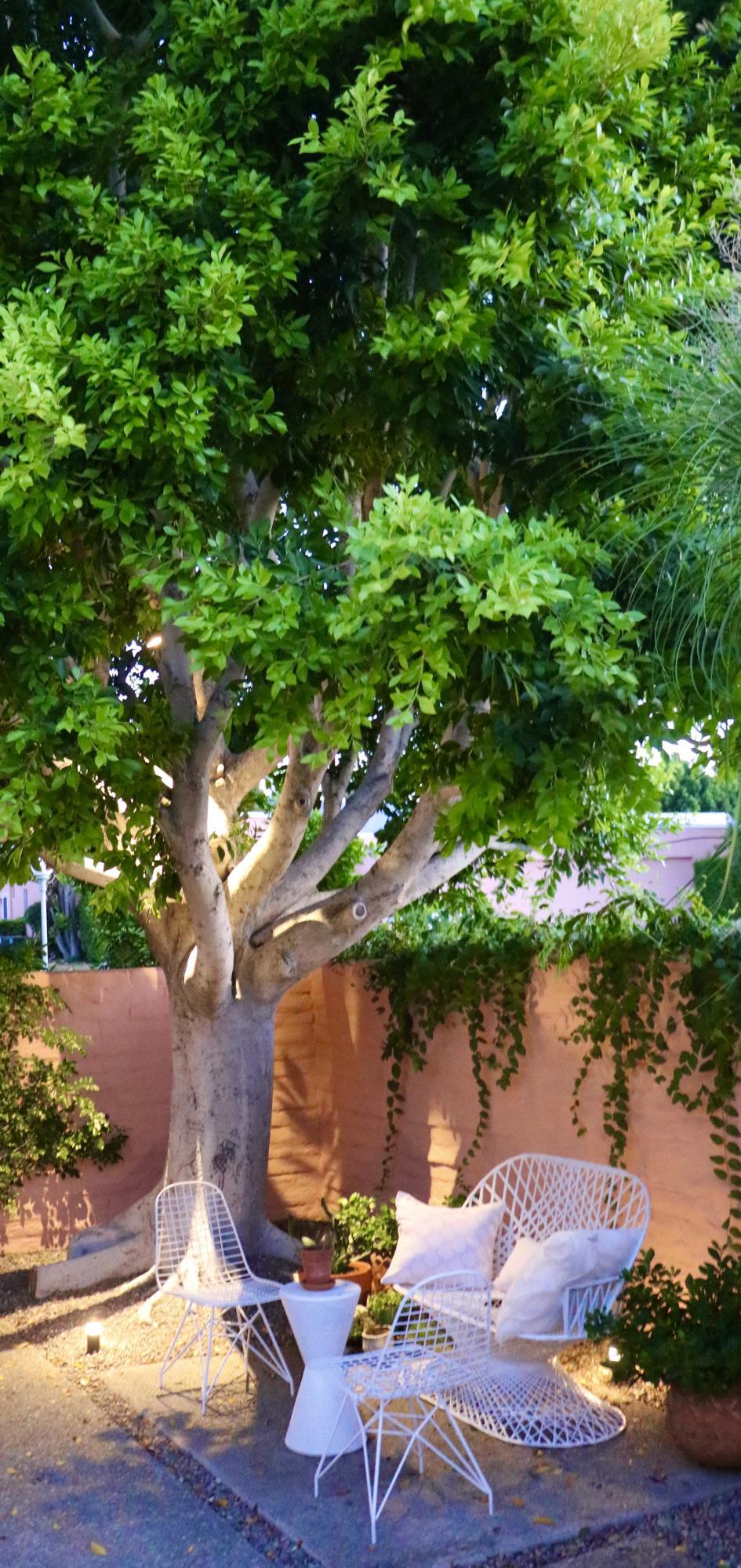 47192 El Agadir Property Photo 2