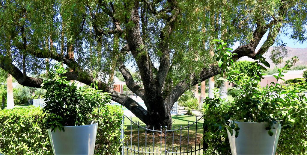 47192 El Agadir Property Photo 43