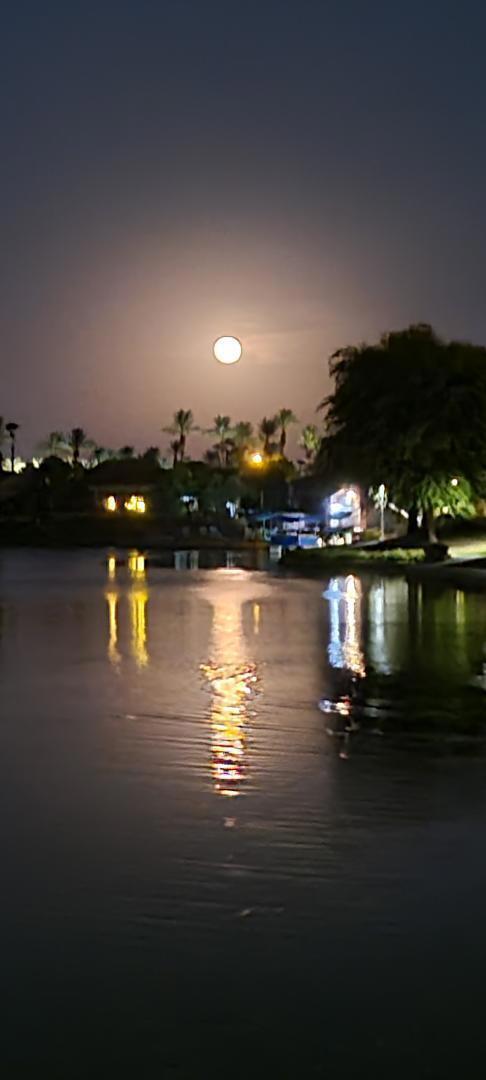 48540 Via Amistad Property Photo 24