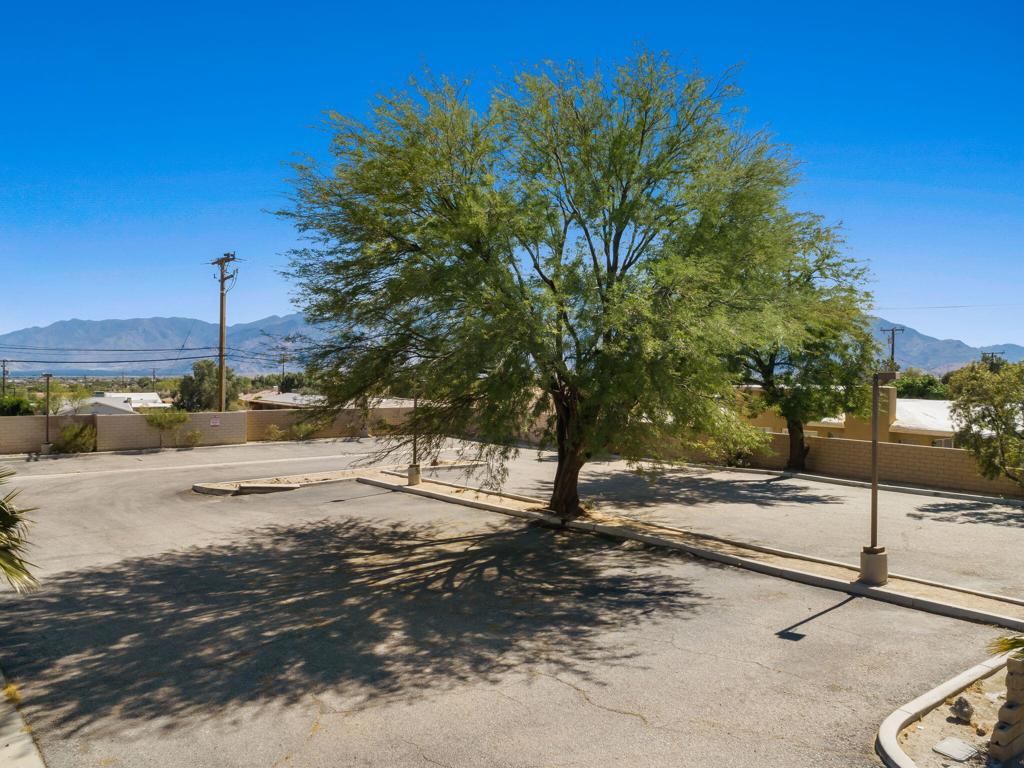 12155 Palm Drive Property Photo 9