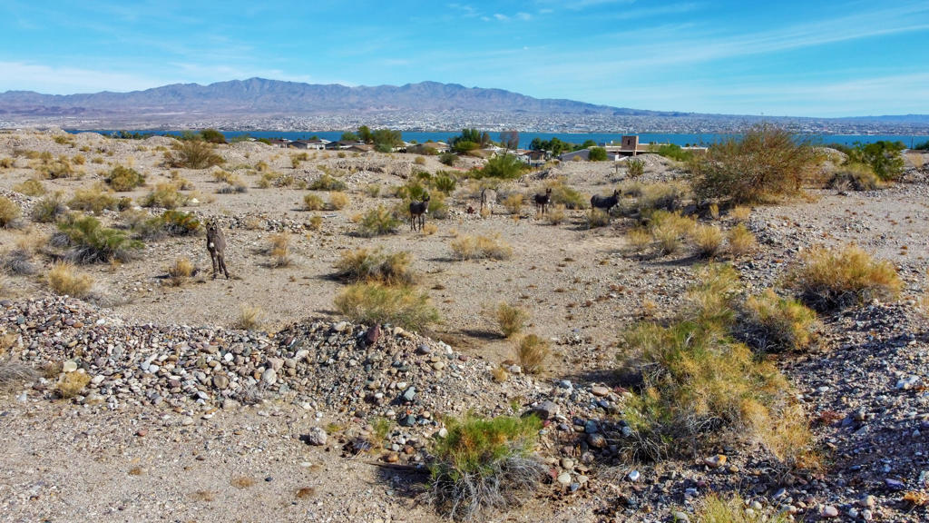 12600 Havasu Lake Road Property Photo 55