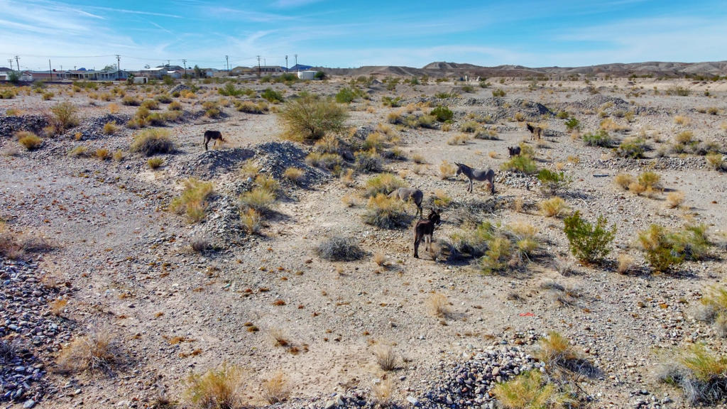 12600 Havasu Lake Road Property Photo 71