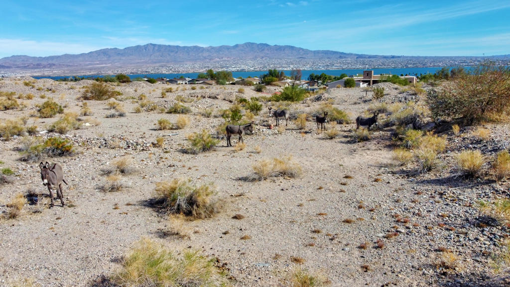 12600 Havasu Lake Road Property Photo 72