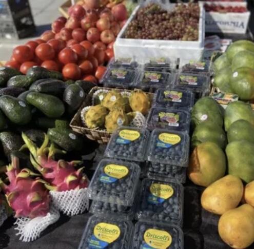 74711 Dillon Rd Spc 959 Property Photo 23