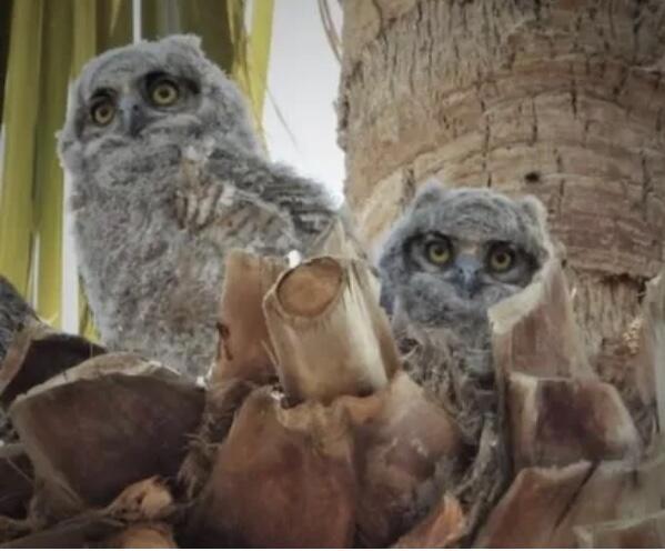 74711 Dillon Rd Spc 959 Property Photo 28