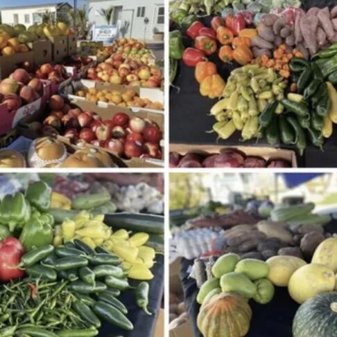 74711 Dillon Rd Spc 959 Property Photo 29