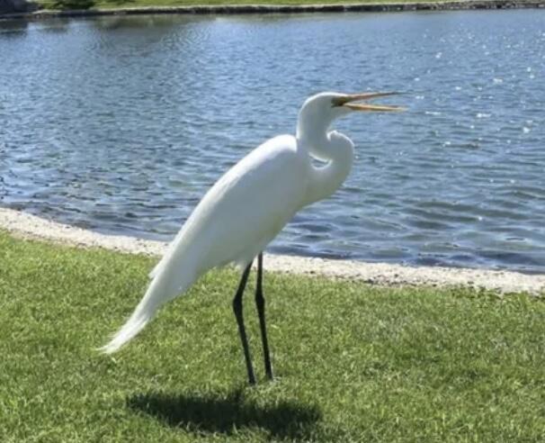 74711 Dillon Rd Spc 959 Property Photo 32