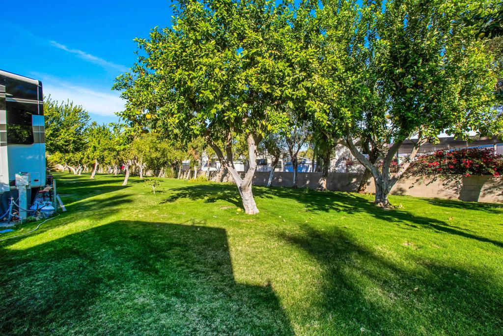 69411 Ramon Rd 562 Property Photo 15