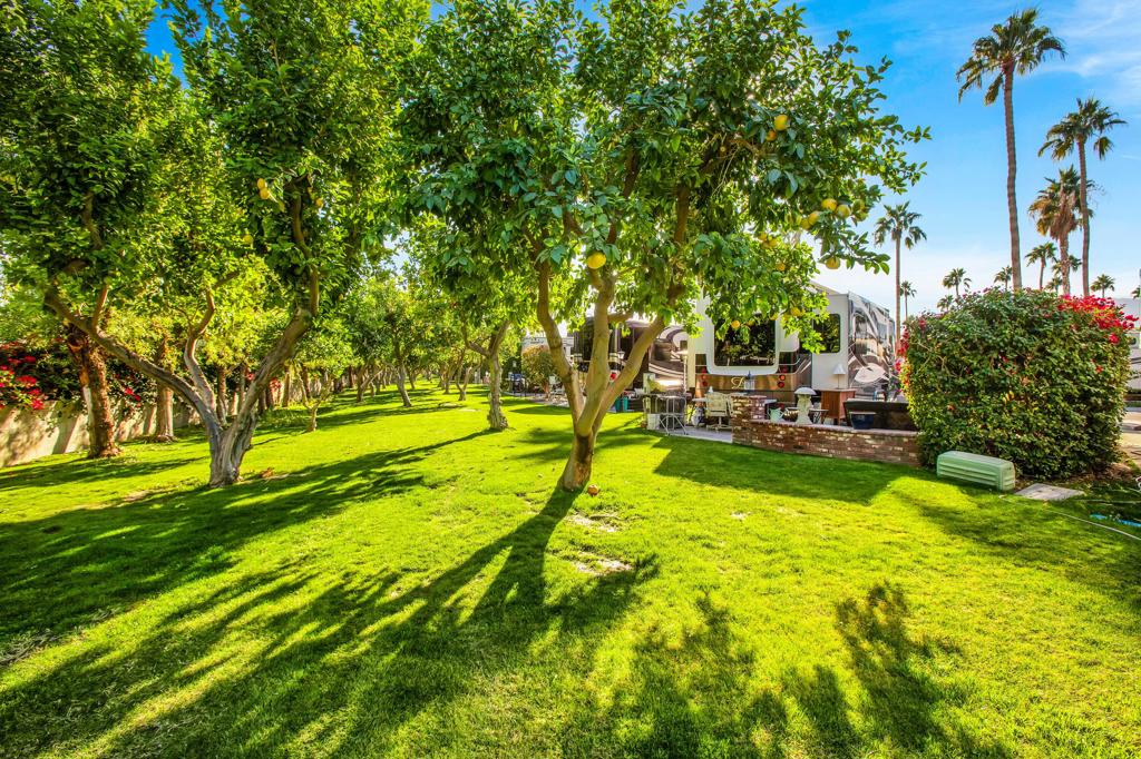 69411 Ramon Rd 562 Property Photo 17