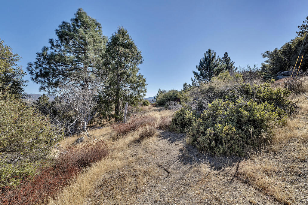 0 Doubleview Drive Property Photo 8