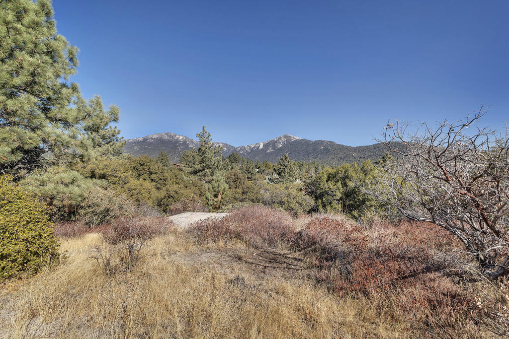 0 Doubleview Drive Property Photo 10