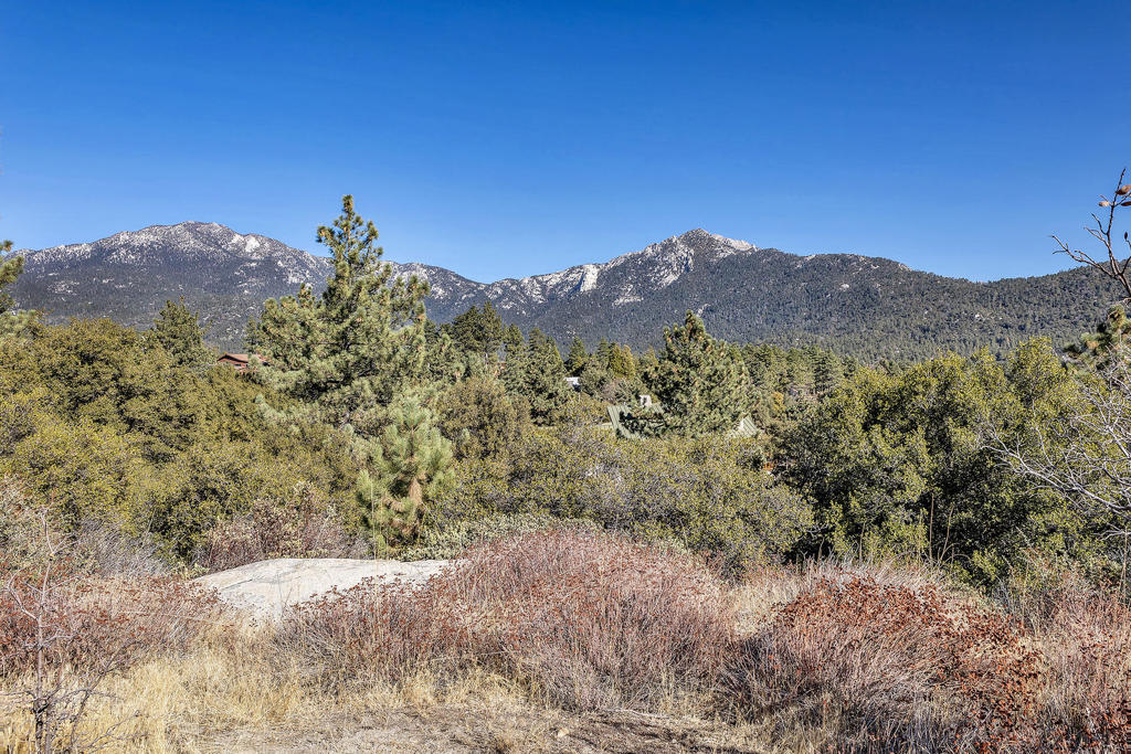 0 Doubleview Drive Property Photo 11