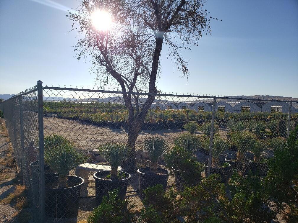 0 Mountain Drive Property Photo 3