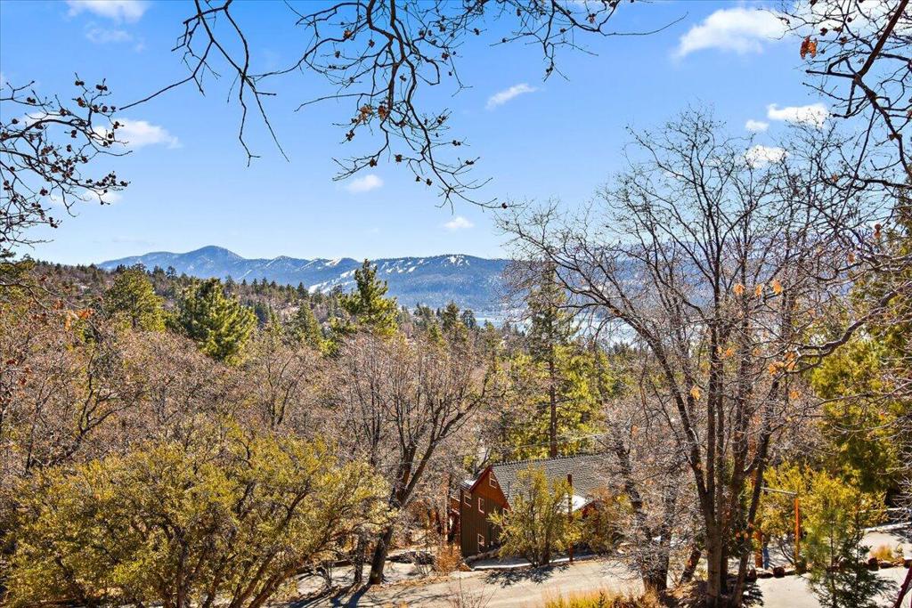 1274 Piney Ridge Place Property Photo 29