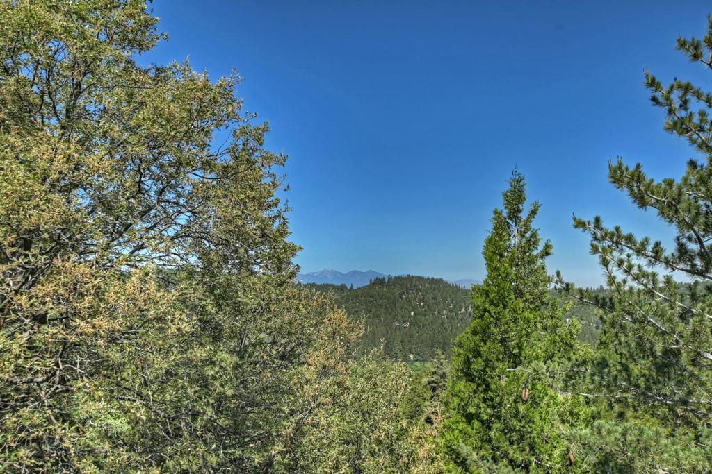 273 Shasta Drive Property Photo 22
