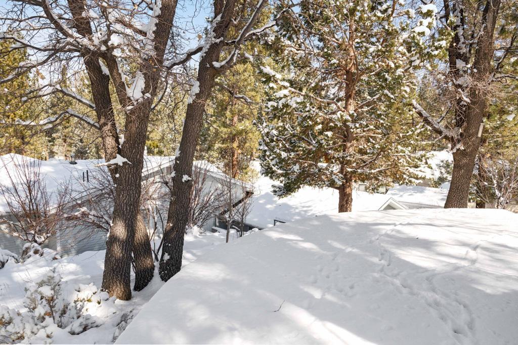 42377 Paramount Road Property Photo 36
