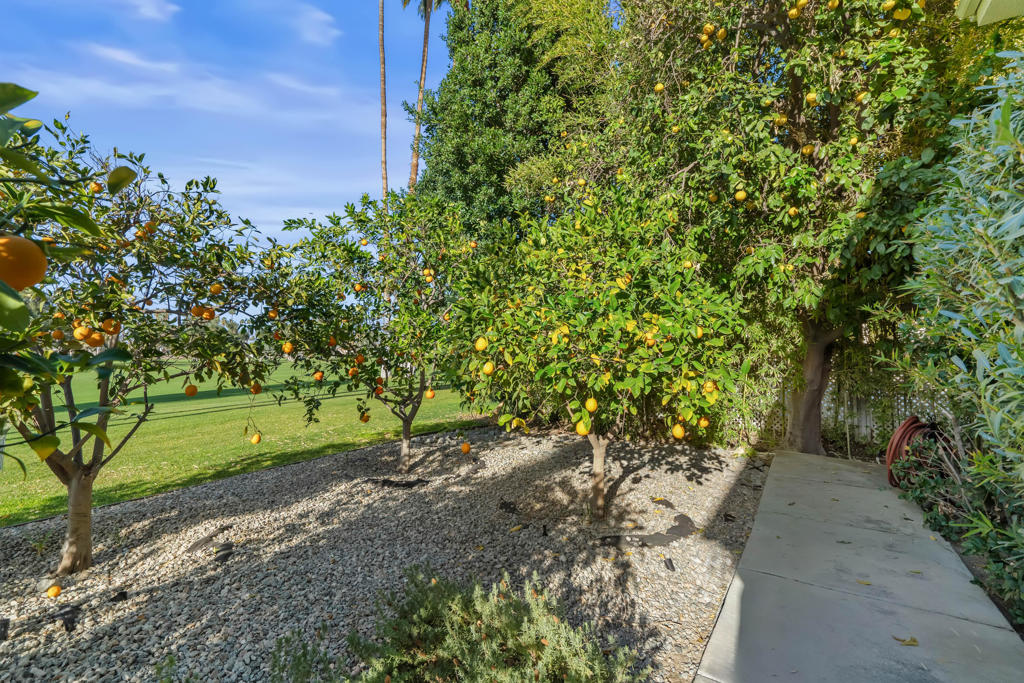 1350 E Murray Canyon Drive Property Photo 78