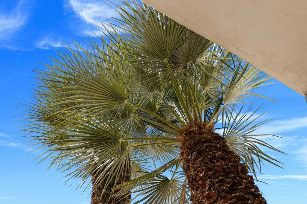 71000 Tamarisk Lane Property Photo 40