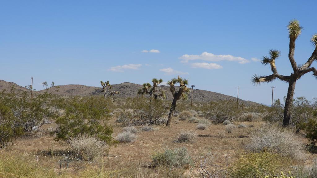 0 Landers Lane Property Photo