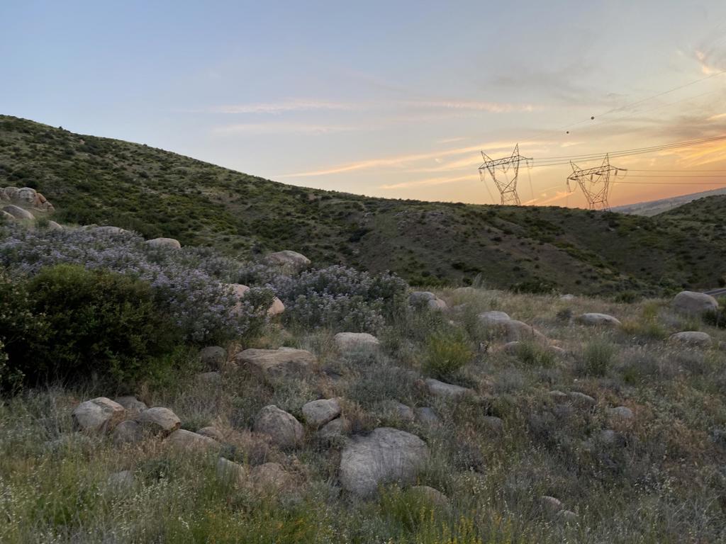 Na Apn# 543190009 (1.65 Acres) Property Photo 3