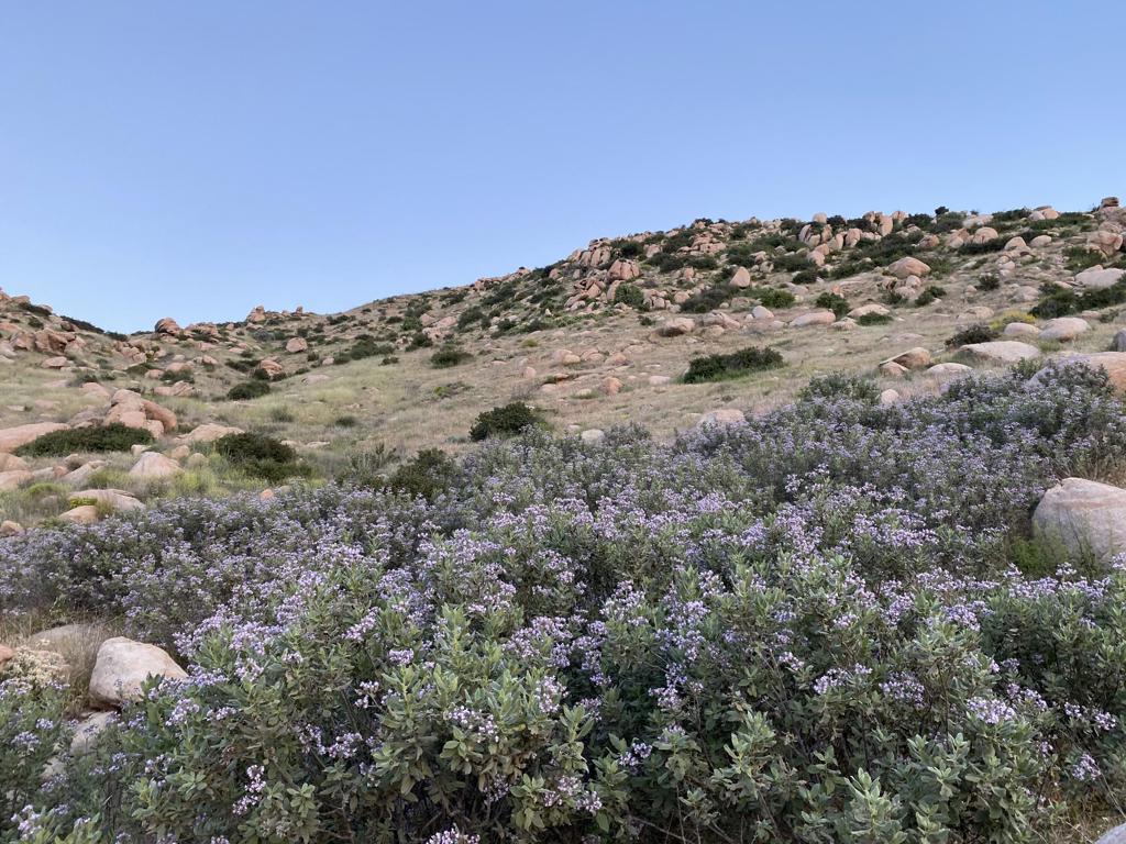 Na Apn# 543190009 (1.65 Acres) Property Photo 7