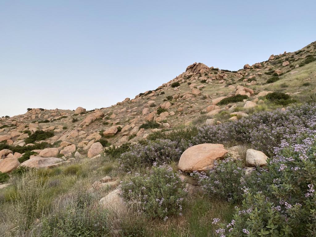 Na Apn# 543190009 (1.65 Acres) Property Photo 9