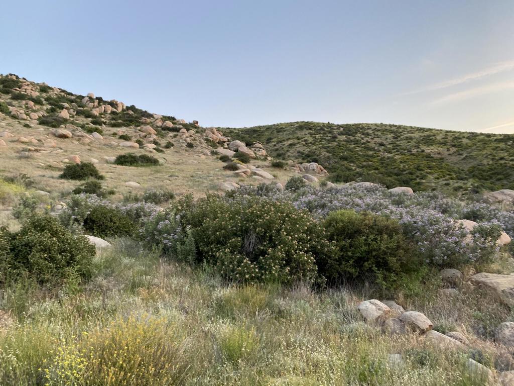 Na Apn# 543190009 (1.65 Acres) Property Photo 13