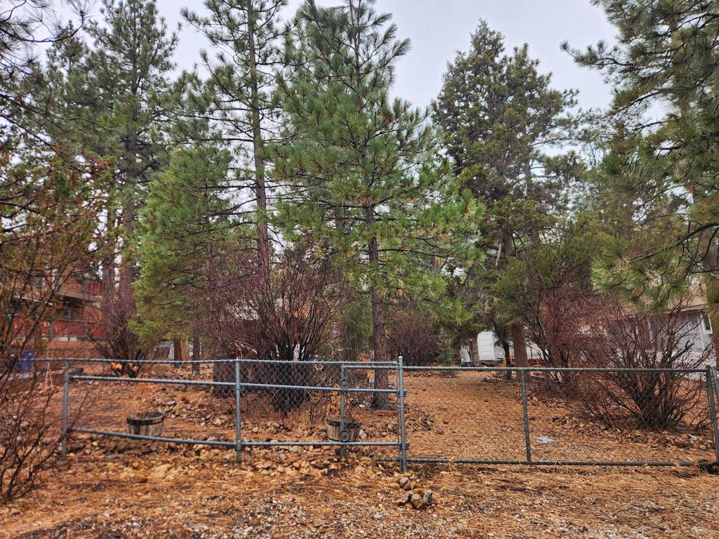 0 Spruce Lane Property Photo
