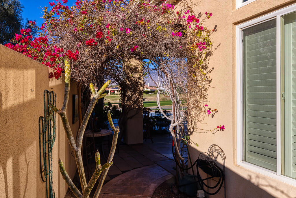 59 Via Las Flores Property Photo 44