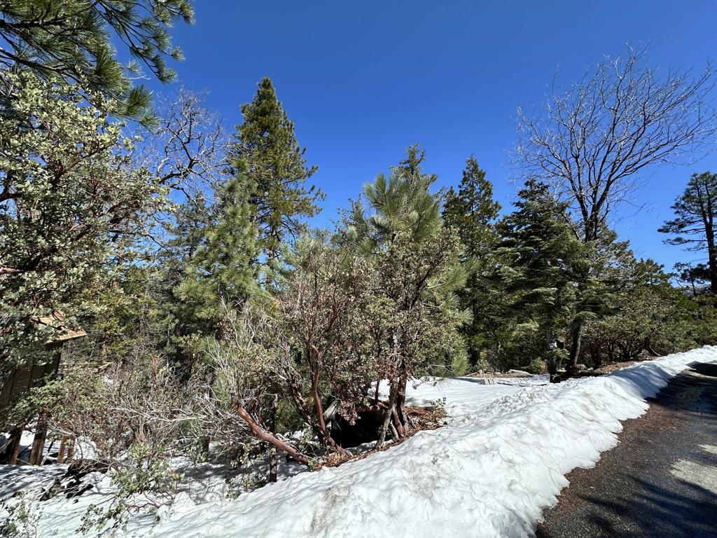 0 Big Rock Property Photo
