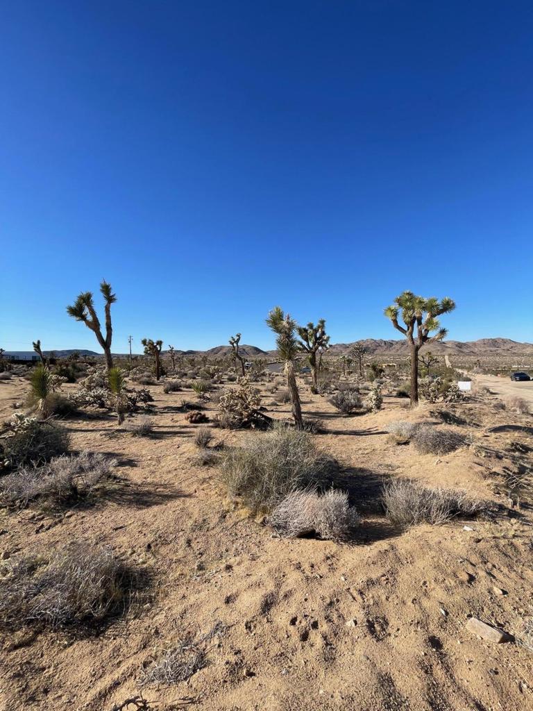 0 Saddleback Road Property Photo