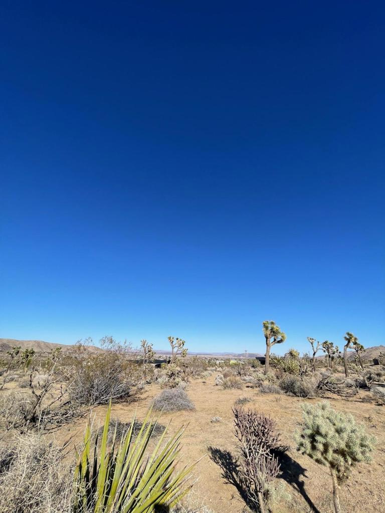 0 Saddleback Road Property Photo 10