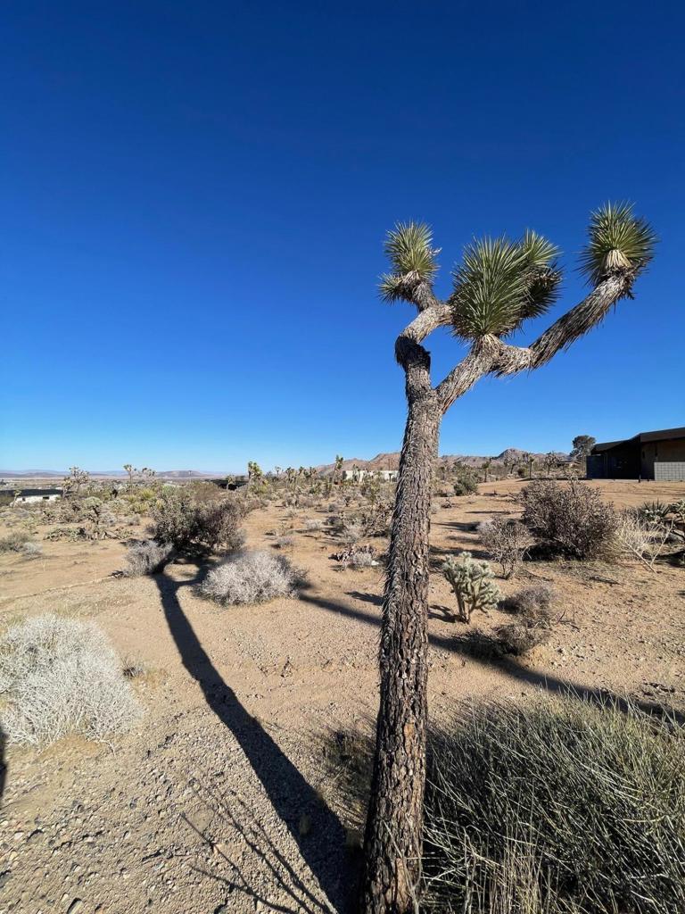 0 Saddleback Road Property Photo 11