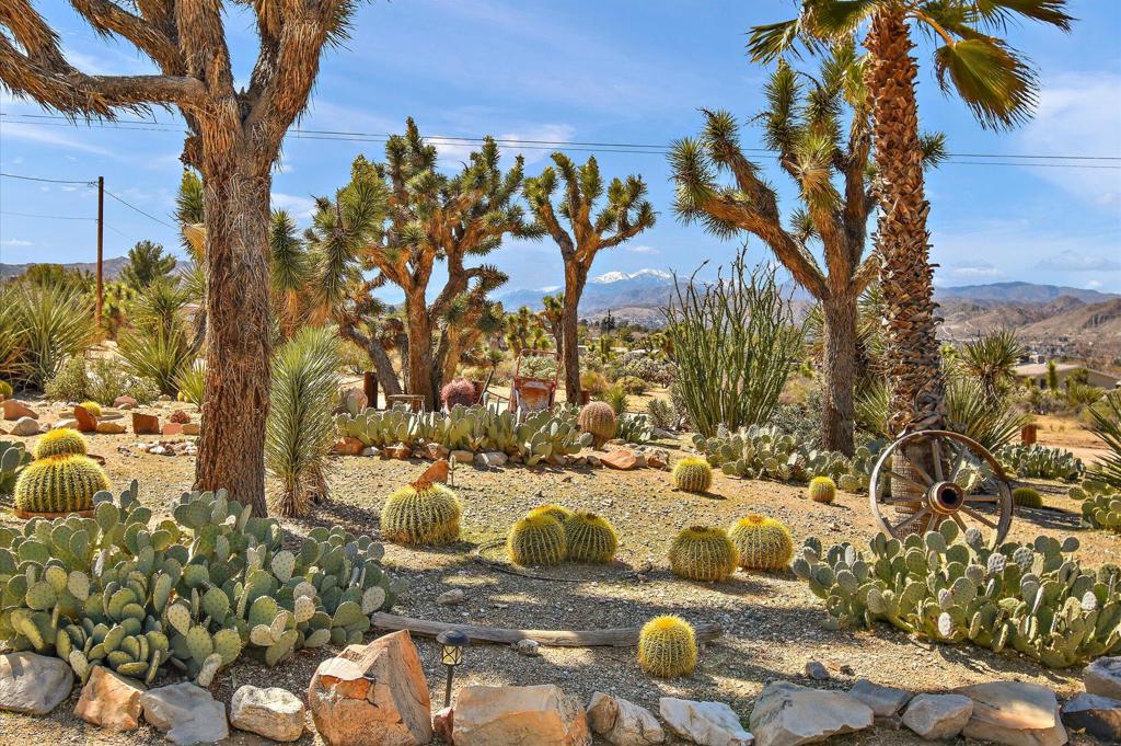 7427 Bonita Trail Property Photo 1