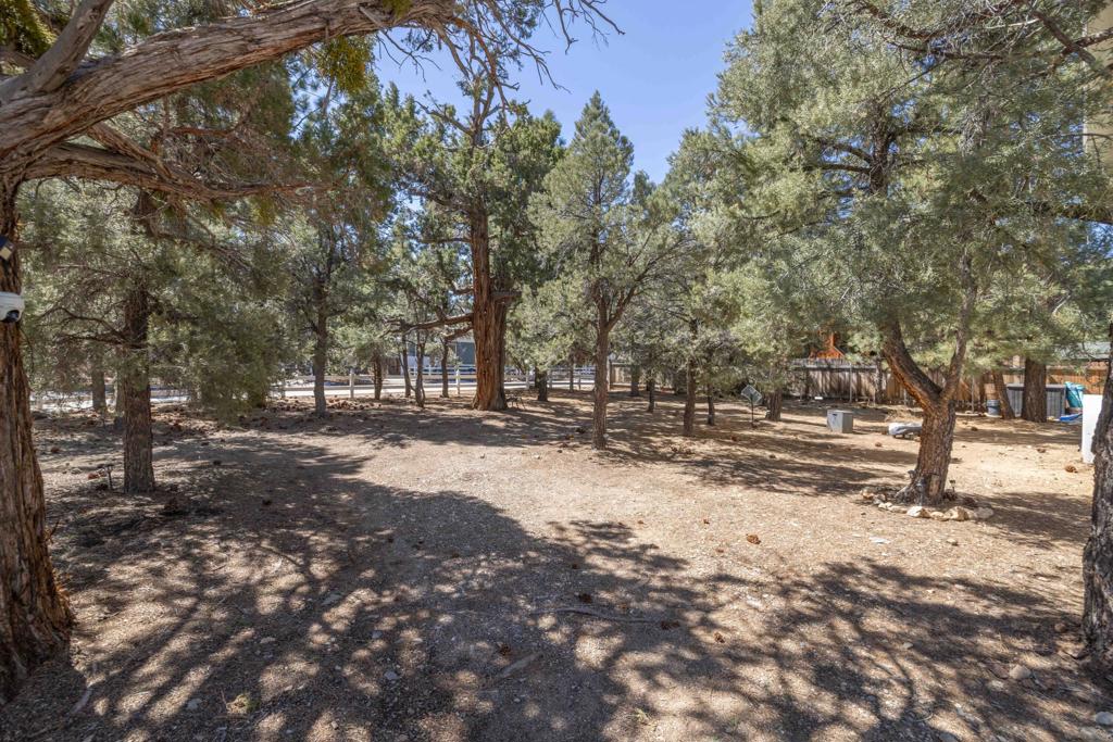 973 Cypress Lane Property Photo 3