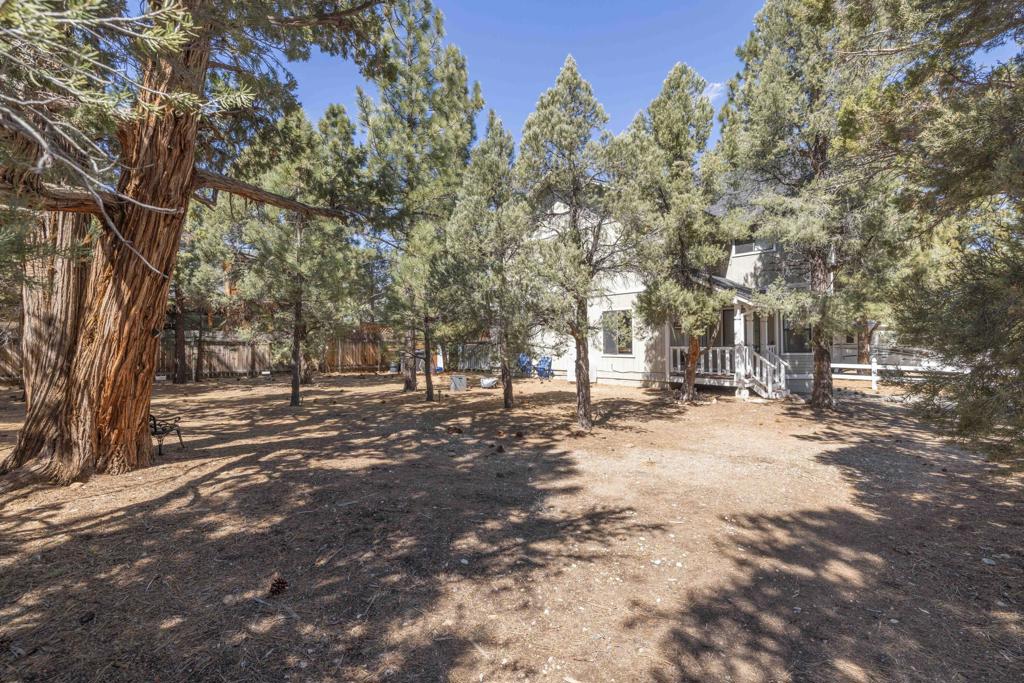 973 Cypress Lane Property Photo 4