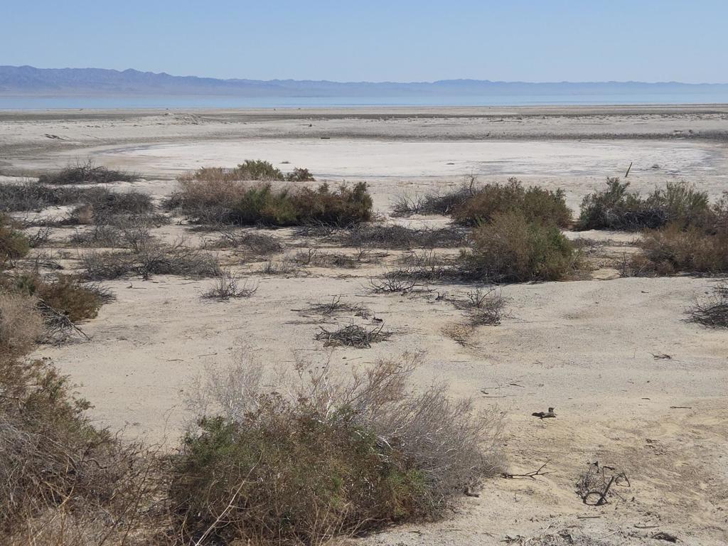 0 Salton Bay Drive Property Photo 3