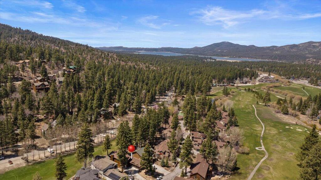 1215 Wolf Creek Court Property Photo 9